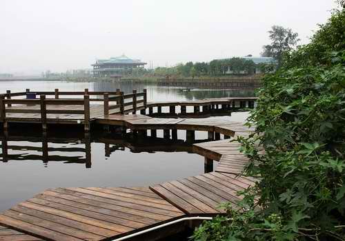 五缘湾湿地公园
