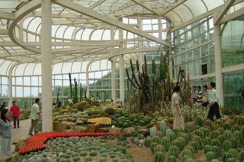厦门园林植物园